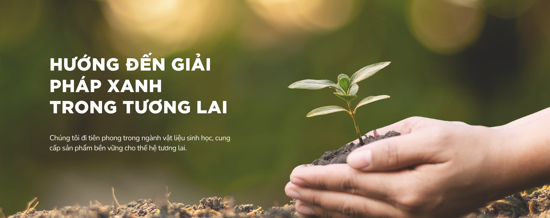 Hướng đến giải pháp trong tương lai
